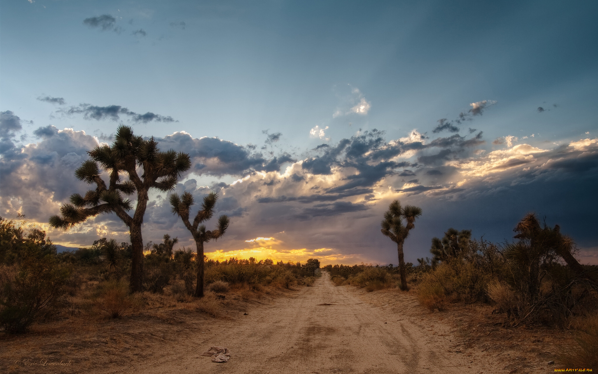 mojave, desert, usa, , , , , , , 